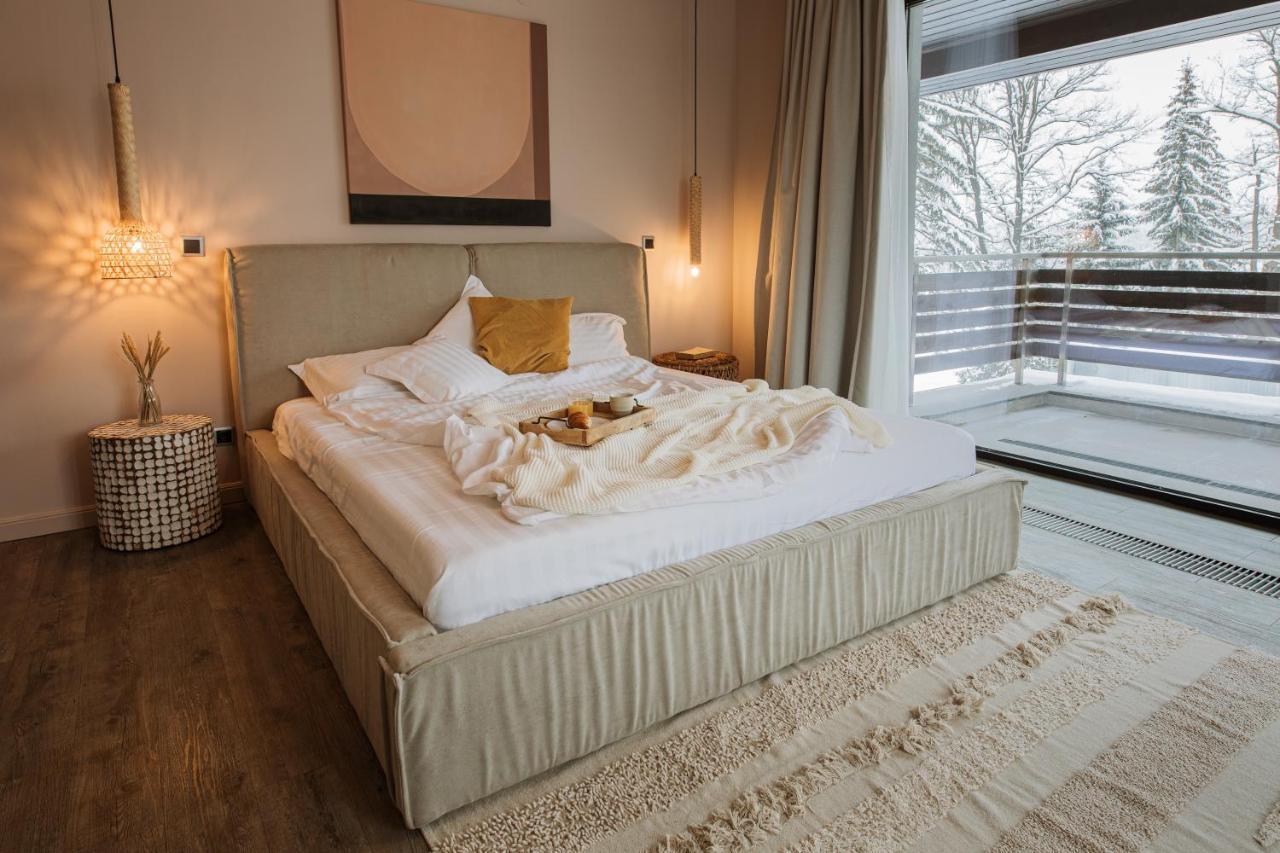 Silver Pine Apartment 포이아나브라소프 외부 사진