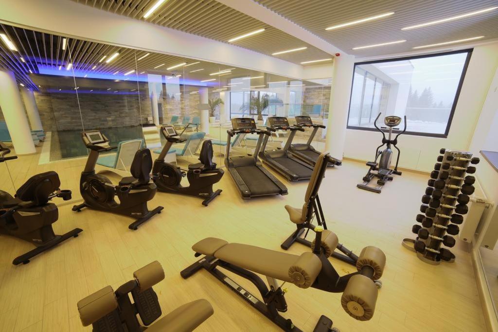 Silver Pine Apartment 포이아나브라소프 외부 사진